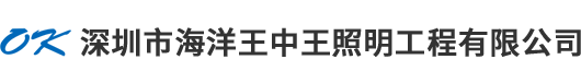 深圳市海洋王中王照明工程有限公司